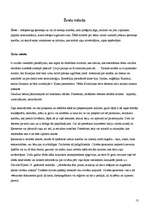 Eseja 'Valodas un mēs', 13.