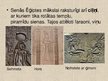 Prezentācija 'Māksla Senajā Ēģiptē', 13.