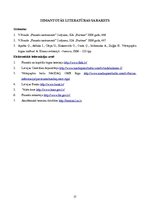 Referāts 'Obligācijas un to emisija Latvijā', 17.