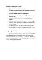 Konspekts 'MicRec vērtību piramīda', 5.