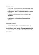 Konspekts 'MicRec vērtību piramīda', 6.