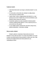 Konspekts 'MicRec vērtību piramīda', 8.