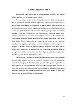 Referāts 'Vides fizikālais piesārņojums', 10.