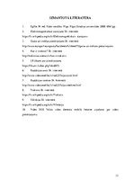 Referāts 'Vides fizikālais piesārņojums', 13.