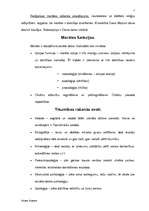 Referāts 'Ētika, morāle, tikumība', 7.