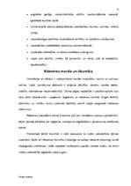 Referāts 'Ētika, morāle, tikumība', 9.