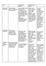 Prakses atskaite 'Kvalifikācijas prakse pirmsskolā', 12.