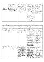 Prakses atskaite 'Kvalifikācijas prakse pirmsskolā', 14.