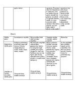 Prakses atskaite 'Kvalifikācijas prakse pirmsskolā', 16.