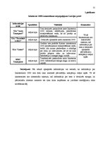 Referāts 'Finanšu instrumentu un norēķinu metožu izmantošanas un pielietošanas praktiskie ', 31.