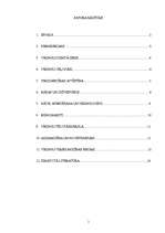 Referāts 'Vikingu māksla', 1.