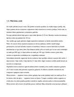 Referāts 'Ceļa segums no betona', 4.