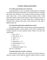 Prakses atskaite 'AS "Sim.S.S"', 20.