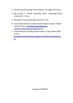 Eseja 'Eposs "Kalevala"- somu tautas daiļrades un vēstures spogulis', 4.