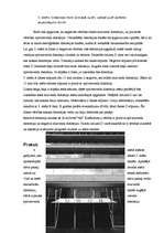 Konspekts 'Distorsija', 7.