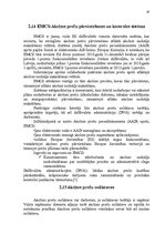 Referāts 'Akcīzes nodoklis', 28.