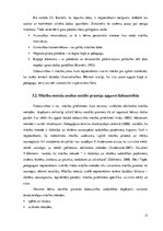 Referāts 'Trīs, četrus gadus vecu bērnu sociālo prasmju attīstība dabas zinātņu mācību pro', 17.