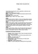 Referāts 'Tūrisma maršruts pa Grieķiju', 4.