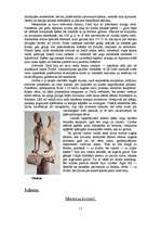 Referāts 'Tūrisma maršruts pa Grieķiju', 11.