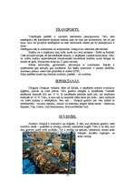 Referāts 'Tūrisma maršruts pa Grieķiju', 20.