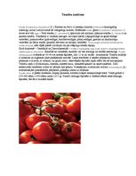 Referāts 'Tomāts', 5.
