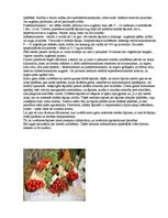 Referāts 'Tomāts', 7.