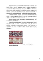 Referāts 'Zobu atjaunošanas materiāli', 9.