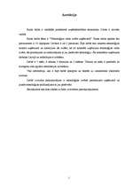 Referāts 'Tehnoloģijas veida izvēle uzņēmumā', 2.