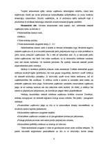 Referāts 'Tehnoloģijas veida izvēle uzņēmumā', 9.