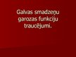Prezentācija 'Galvas smadzeņu garozas funkciju traucējumi', 1.