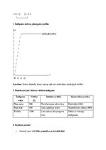 Konspekts 'Īsslēguma strāvu aprēķins elektroenerģijas sistēmās: teorija un pielietojums', 11.