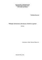 Referāts 'Vikingi: uzbrukumi, uzbrukumu virzieni un posmi', 5.