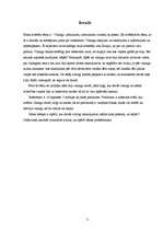 Referāts 'Vikingi: uzbrukumi, uzbrukumu virzieni un posmi', 7.