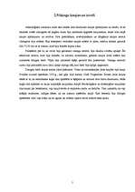 Referāts 'Vikingi: uzbrukumi, uzbrukumu virzieni un posmi', 9.