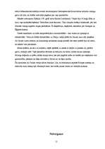 Referāts 'Vikingi: uzbrukumi, uzbrukumu virzieni un posmi', 16.