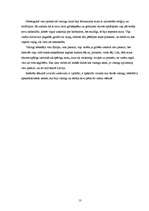 Referāts 'Vikingi: uzbrukumi, uzbrukumu virzieni un posmi', 17.