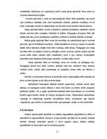 Referāts 'Garīgās attīstības traucējumu raksturojums pirmsskolas vecuma bērniem', 21.