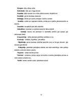 Referāts 'Garīgās attīstības traucējumu raksturojums pirmsskolas vecuma bērniem', 28.