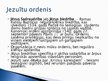 Prezentācija 'Reformācija un pretreformācija', 11.