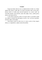 Referāts 'Ergonomiskie darba vides riski. Smaguma pārvietošana', 8.