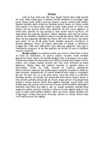 Referāts 'Modes pirmsākumi', 16.