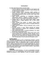 Konspekts 'Art-terapija', 2.