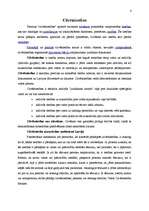 Konspekts 'Tiesību nozares', 4.