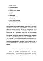Referāts 'Angļu valodas nozīme skolēnu nākotnes perspektīvā', 4.