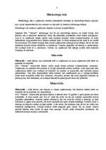 Referāts 'SIA "Gemino" mārketinga vide', 8.