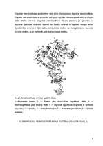 Referāts 'Automobiļa Mazda dzinēja piemērošana studiju vajadzībām', 6.