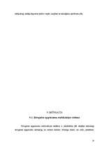 Referāts 'Automobiļa Mazda dzinēja piemērošana studiju vajadzībām', 25.