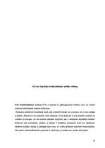 Referāts 'Automobiļa Mazda dzinēja piemērošana studiju vajadzībām', 28.