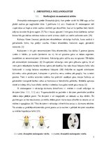 Referāts 'SiO2 nanodaļiņu ietekme uz Drosophila melanogaster (Meigen, 1830) attīstību un m', 7.