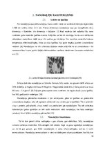 Referāts 'SiO2 nanodaļiņu ietekme uz Drosophila melanogaster (Meigen, 1830) attīstību un m', 10.